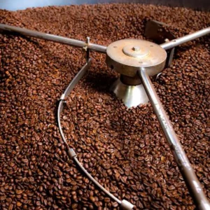 coffee roasting process inside a specialty coffee roaster